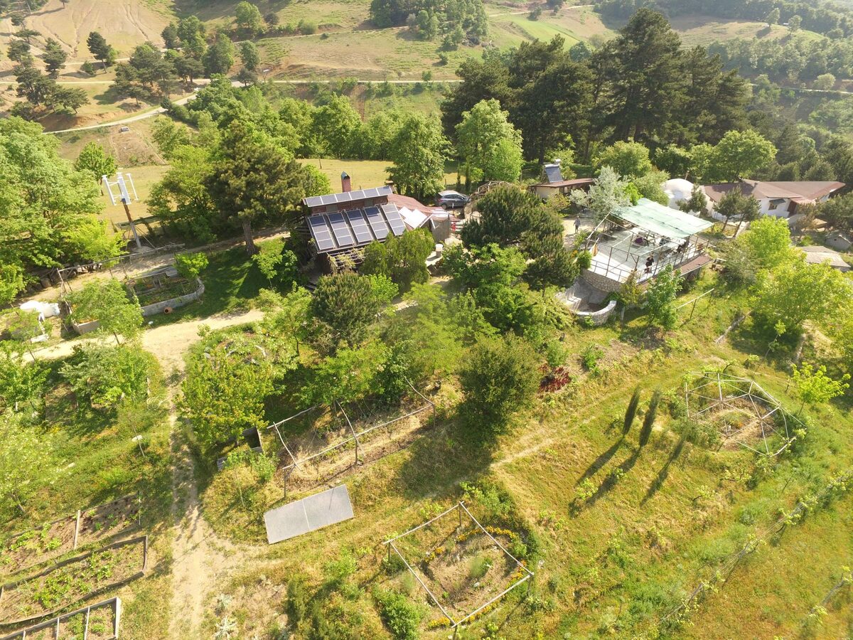 Belentepe gıda ormanı / food forest